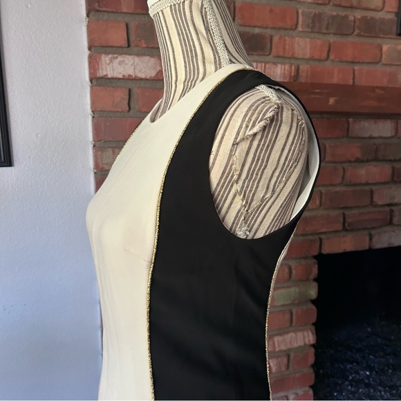 Rag & Bone Dupont Sleeveless Sheath Dress in Ivory/Black Sz 4 - Picture 6 of 10